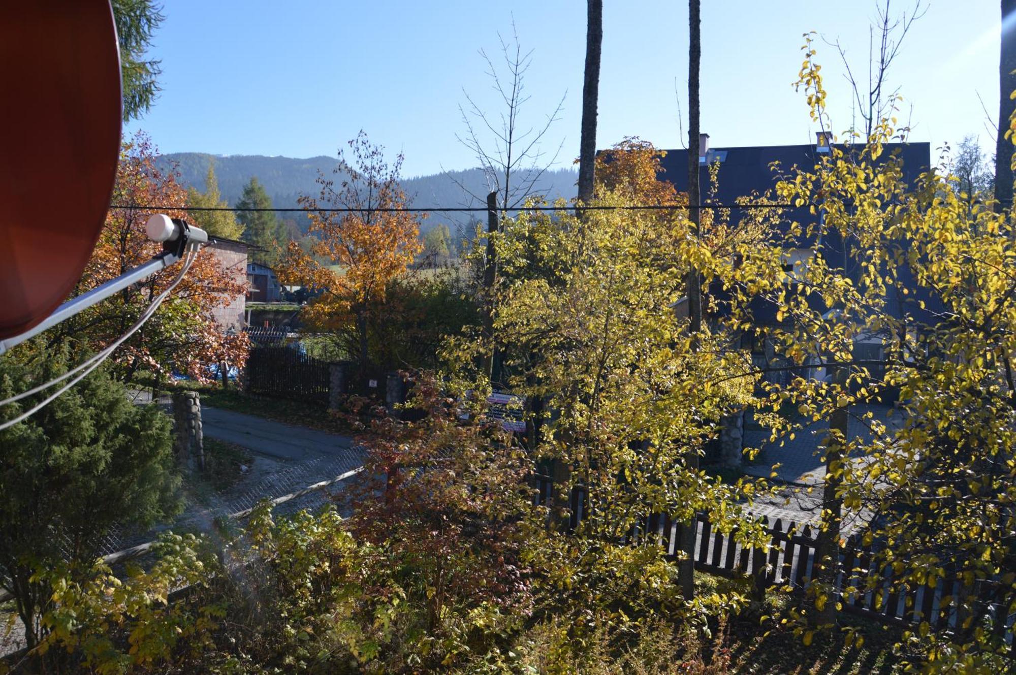 Msc Apartments Honeymoon Zakopane Szoba fotó