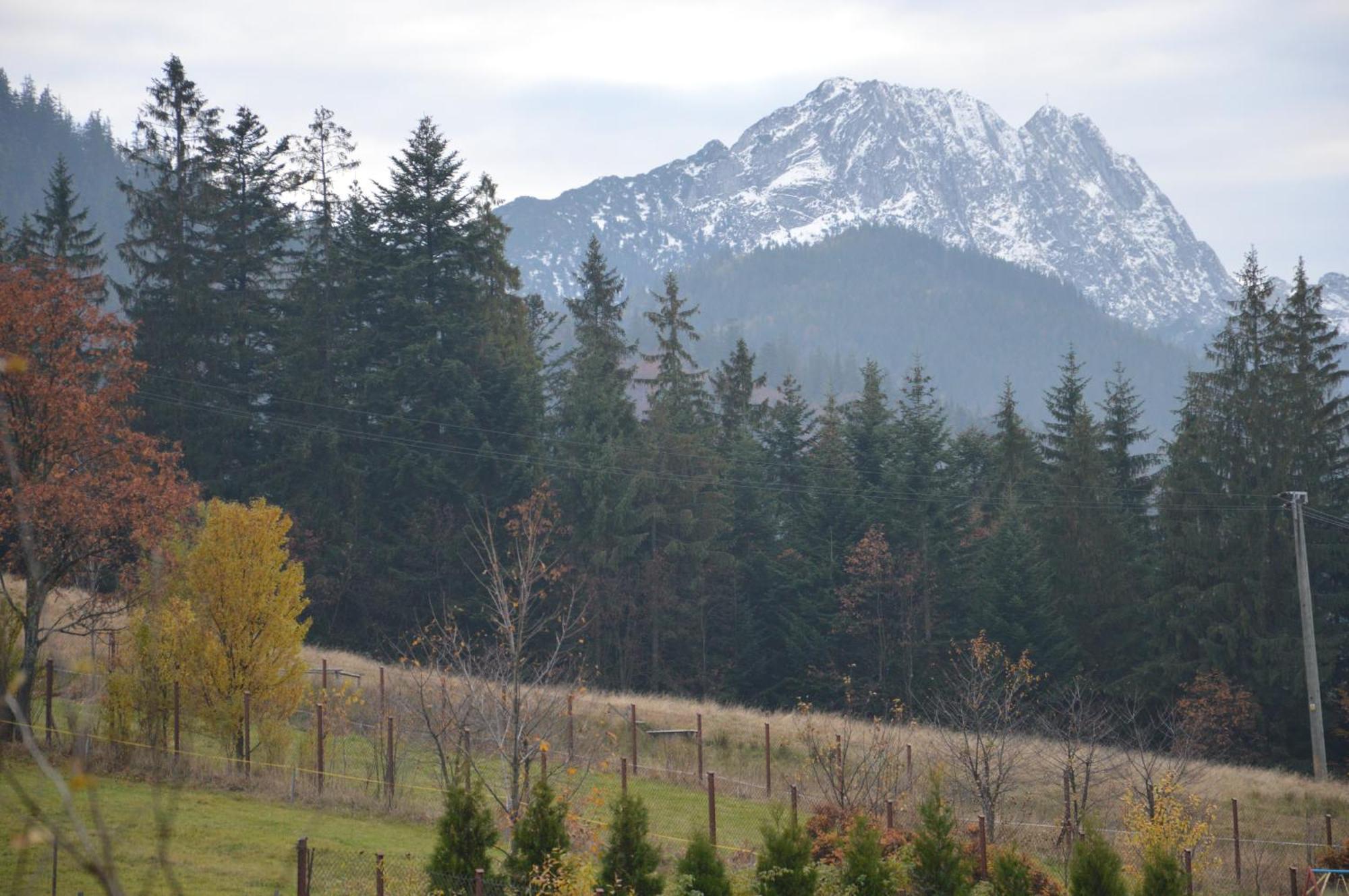 Msc Apartments Honeymoon Zakopane Szoba fotó