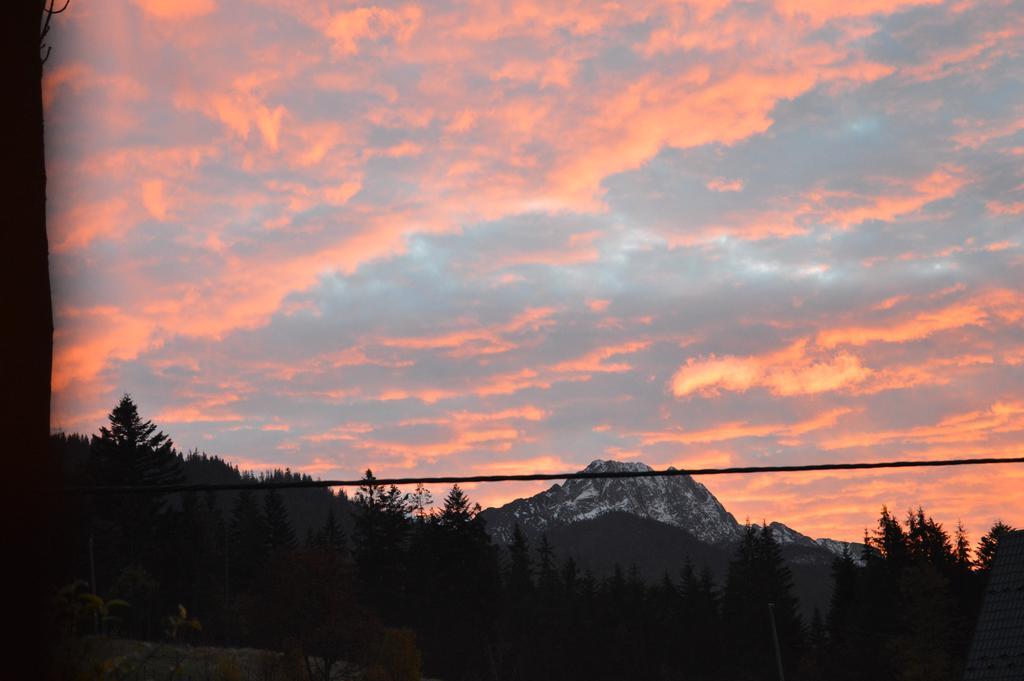 Msc Apartments Honeymoon Zakopane Kültér fotó