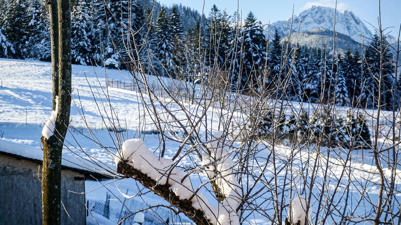 Msc Apartments Honeymoon Zakopane Kültér fotó