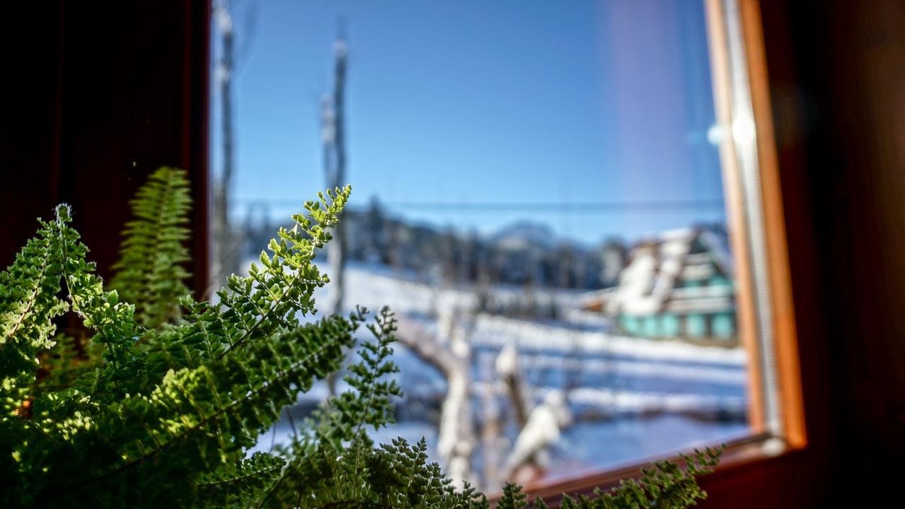 Msc Apartments Honeymoon Zakopane Kültér fotó