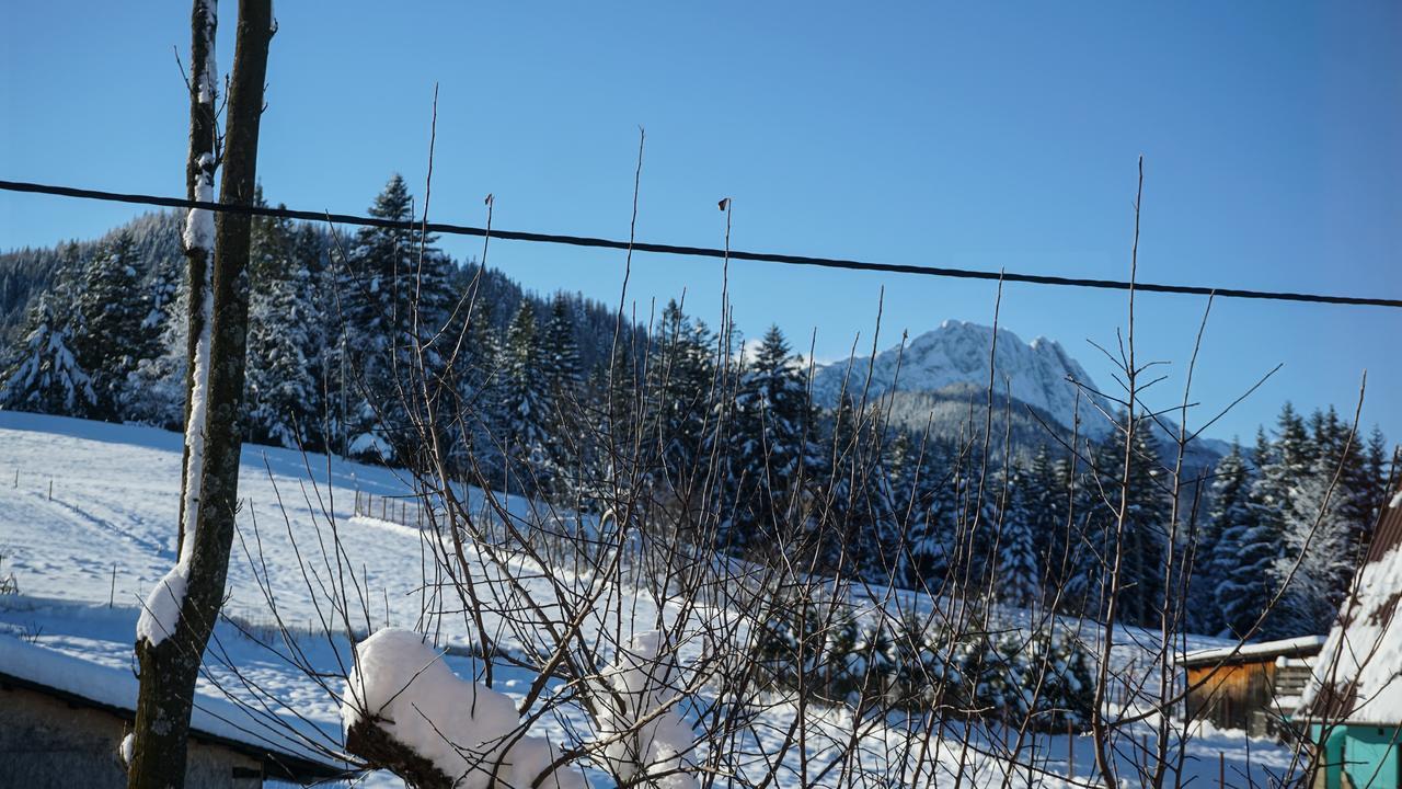 Msc Apartments Honeymoon Zakopane Kültér fotó