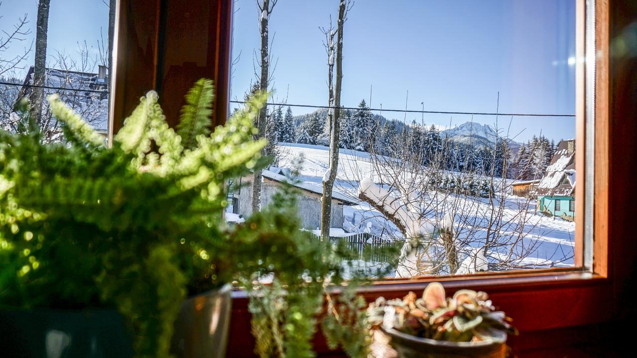Msc Apartments Honeymoon Zakopane Kültér fotó