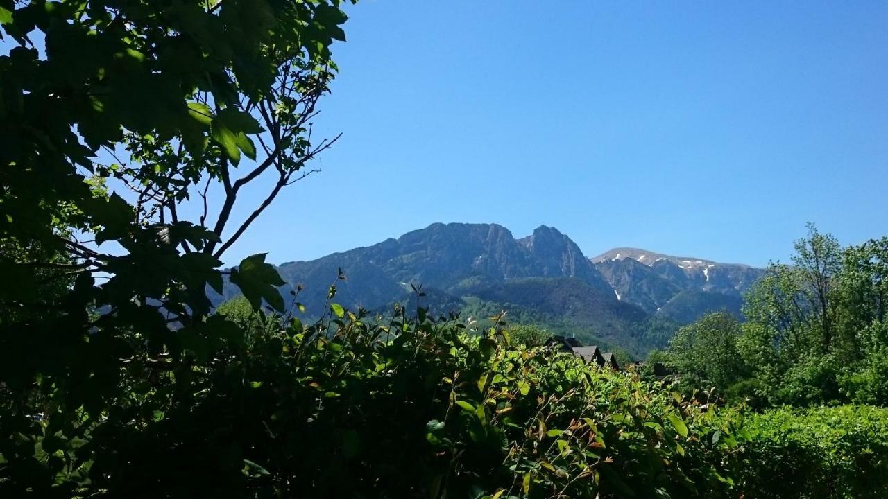 Msc Apartments Honeymoon Zakopane Kültér fotó